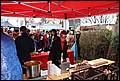 IMG_3658.JPG