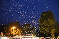 IMG_3977.JPG