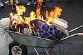 IMG_4058.JPG