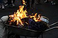 IMG_4059.JPG