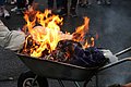 IMG_4060.JPG