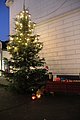 IMG_5605.JPG